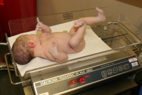 7lb, 2.5oz